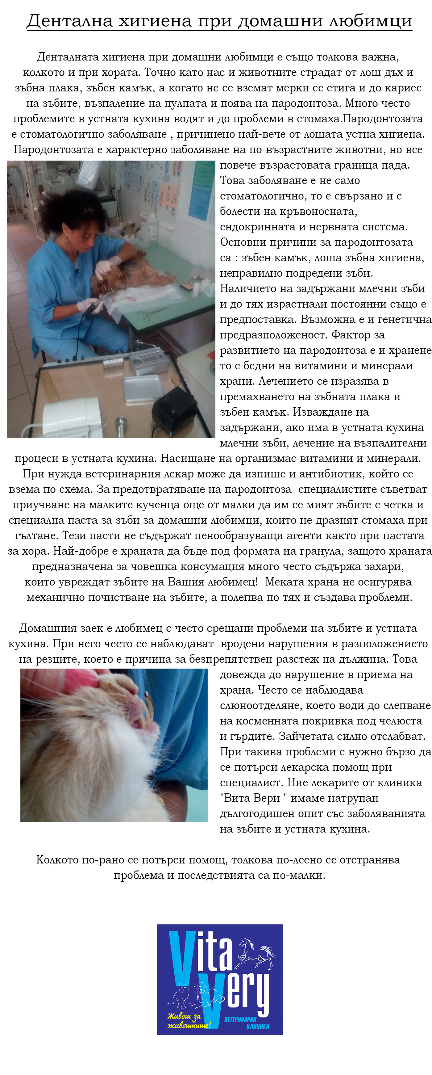 dental1